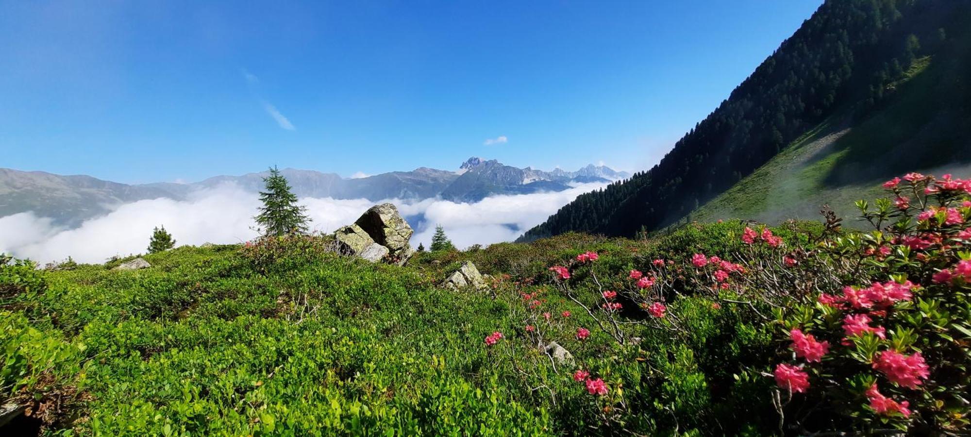 Apartment Peer Neustift im Stubaital Extérieur photo